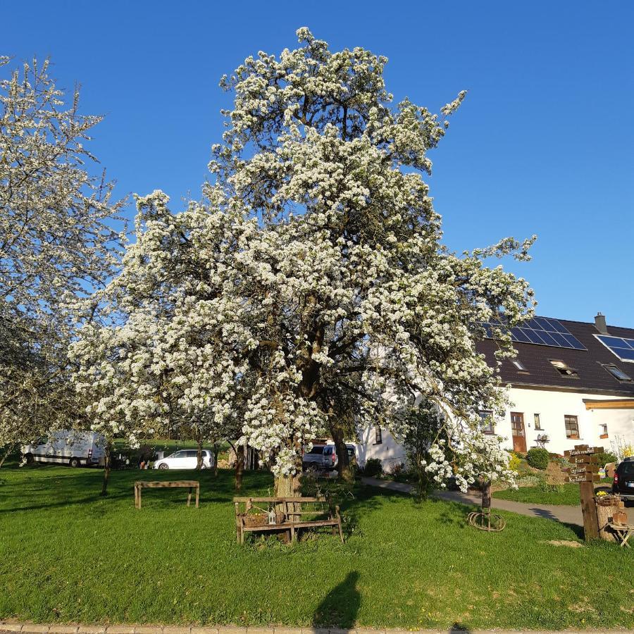 Am Hohestein Apartment Briedeler Heck